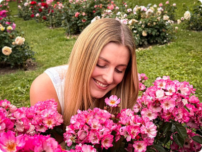 Beste Rose des Jahres