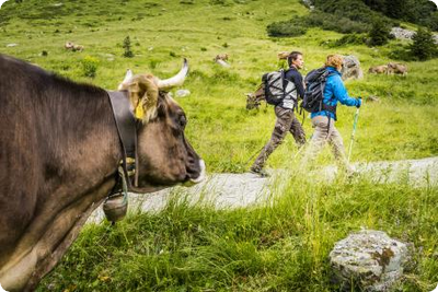 Sicher unterwegs zu den Alpen