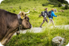 Sicher unterwegs zu den Alpen