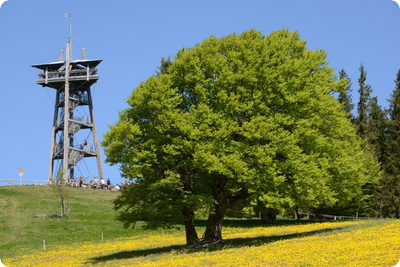 Biosphärentag auf dem Schauinsland