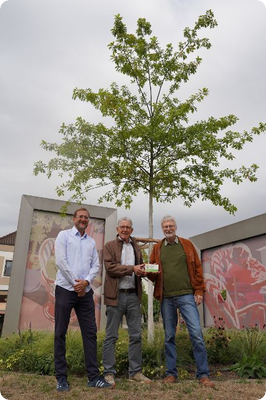 Aktion Bürger-Baum beginnt