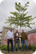 Aktion Bürger-Baum beginnt