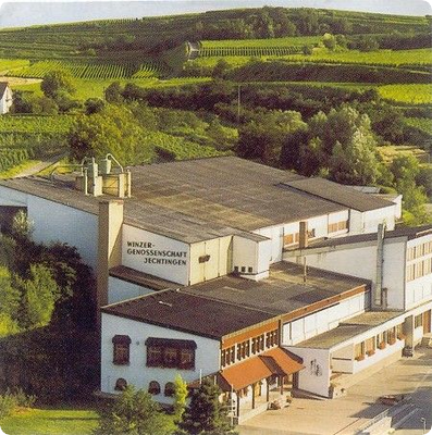 Winzergenossenschaften vor Veränderungen