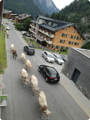 Parade der besonderen Art