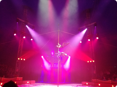 Begeisterung und Protest bei Zirkus Charles Knie