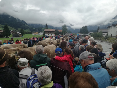 Saison für Alpen endet im Bregenzerwald