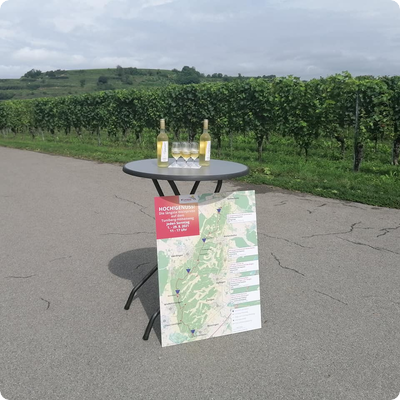 Viele tausend Besucher bei längster Weinprobe auf Tuniberg-Höhenweg