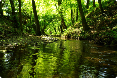 Wasserpfad wird geöffnet