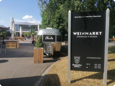 Winzer in der Region vor vielen Herausforderungen - Heute Wein-Lounge