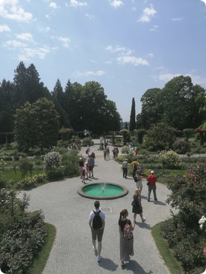 Vor Ort - Insel Mainau
