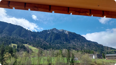 Vor Ort - Berichte aus dem Bregenzerwald