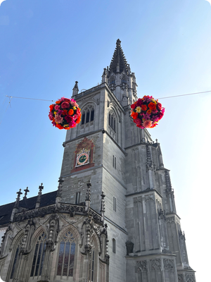 Blumige Bälle erhalten Neuauflage