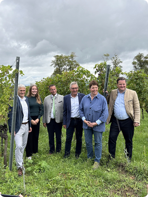 Ausblick auf die Hauptweinlese